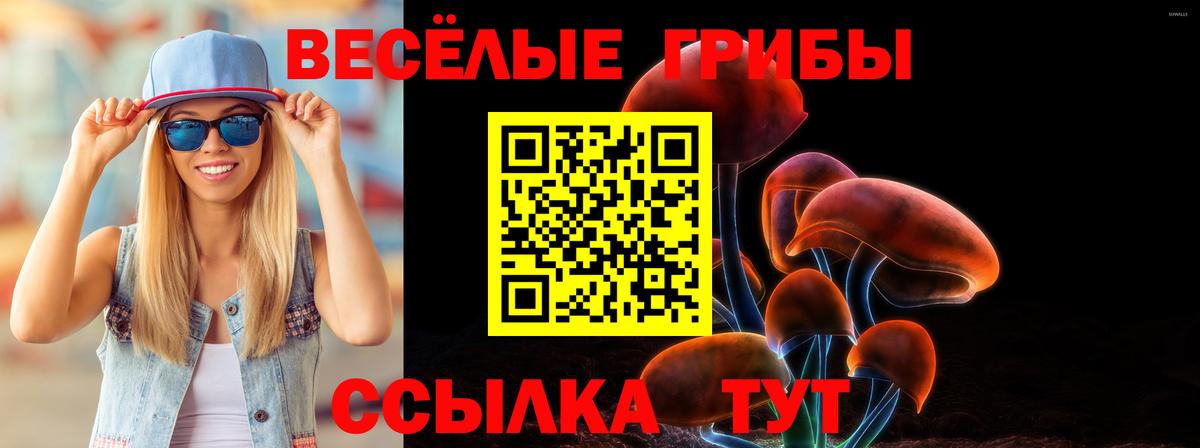 Муравленко  Псилоцибиновые грибы Cubensis  Вход с VPN 